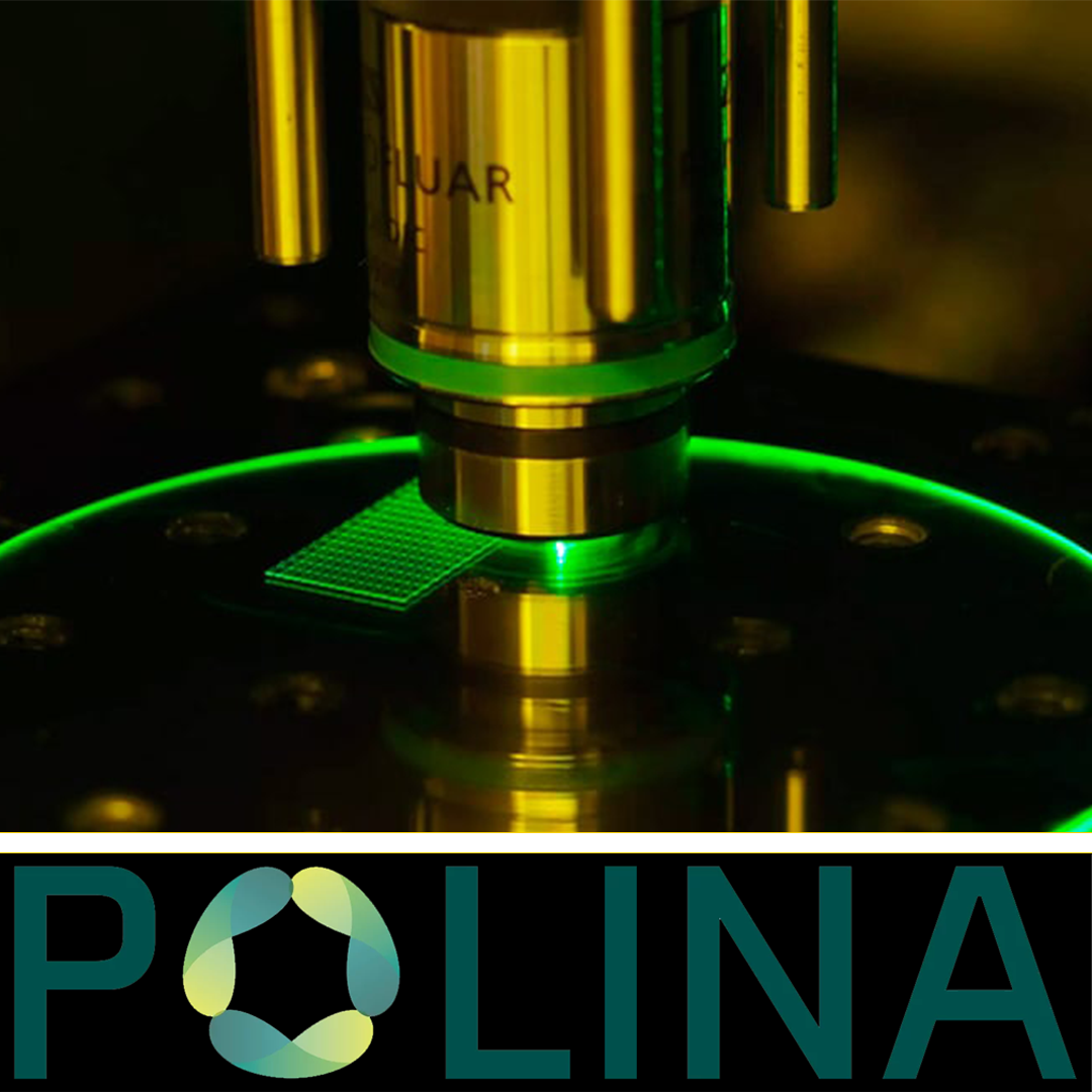 POLINA project: revolutionising bioprinting