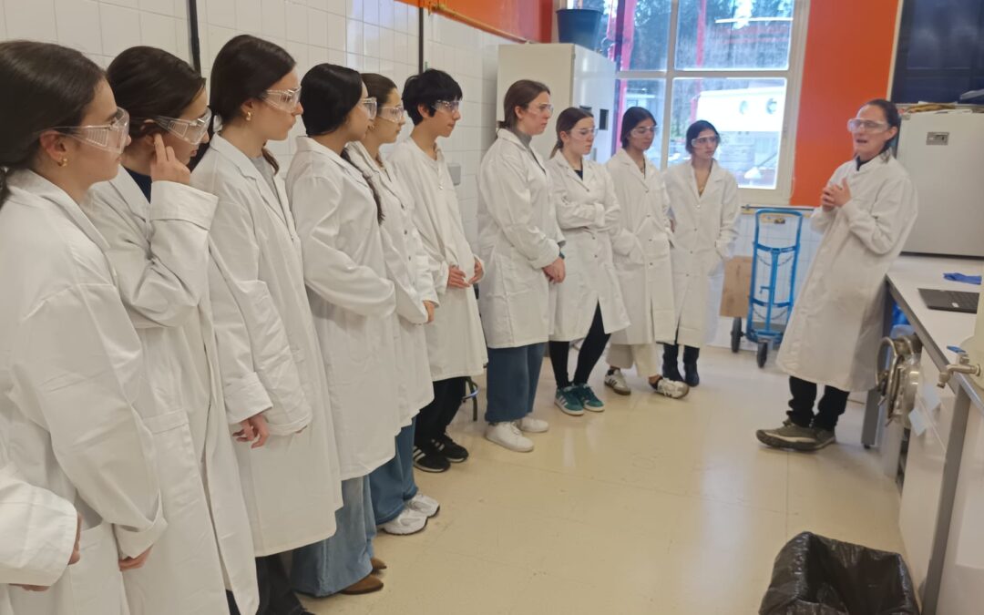 Guided visits at the Chemistry Faculty